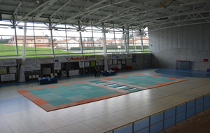 Appel à bénévoles - Championnat de France le 4 &amp; 5 avril  à St Genis Laval