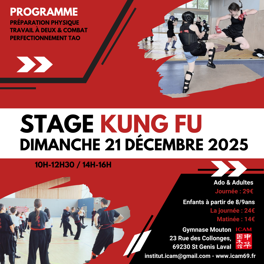 Stage journée KUNG FU : Dimanche 21 décembre