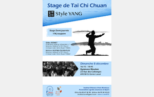 Stage Taï Chi Chuan