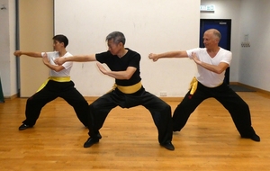 Stage avec Maître Wong : niveau intermédiaire et avancé