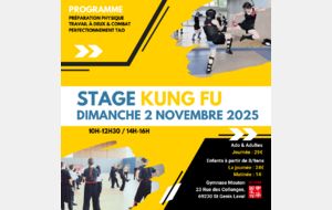 Stage journée KUNG FU : Dimanche 2 novembre