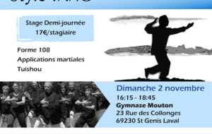 Stage Tai Chi Chuan : dimanche 2 novembre